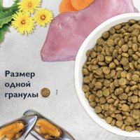 Сухой корм для кошек Brit Кеа Cat Sterilised Metabolic с индейкой 400 г