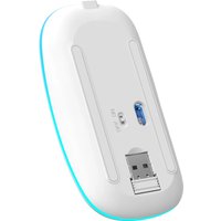 Мышь Defender Coda MB-261 (голубой/белый)