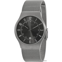 Наручные часы Skagen 233XLTTM