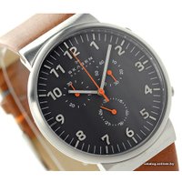 Наручные часы Skagen SKW6099