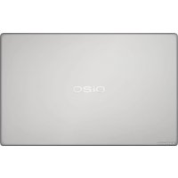 Ноутбук OSiO FocusLine F150I-019 в Бресте