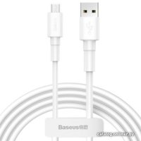 Кабель Baseus CAMSW-02