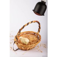 Светильник ЭРА FITO-E27-SHADE Б0053286 в Бресте