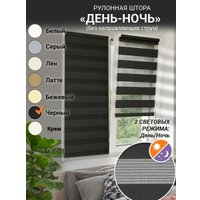 Шторы день-ночь Delfa Сантайм День&Ночь Стандарт СРШ 01МКЭД-DN40611 (55x160, черный)
