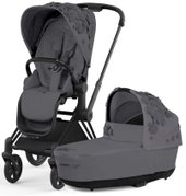 Priam IV (2 в 1, Simply Flowers Dream Grey)