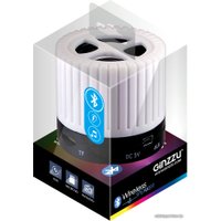 Беспроводная колонка Ginzzu GM-988W