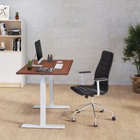 Стол для работы стоя ErgoSmart Electric Desk Compact (альпийский белый/черный)