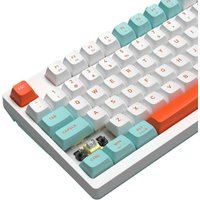 Клавиатура A4Tech Fstyler FS300 Panda Snorkeling