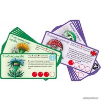 Настольная игра Правильные игры Эволюция. Трава и грибы (дополнение) 13-01-07