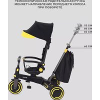 Детский велосипед MOWbaby Trixie MC055 (черный/золотой)