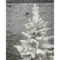 Ель GrandSiti Афина 2.4 м