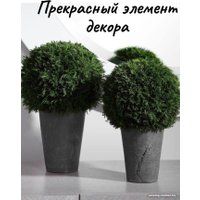 Искусственное растение Merry Bear Home Decor Туя шаровидная KDA0255