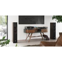 Напольная акустика DALI Opticon 6 MK2 (тобако)