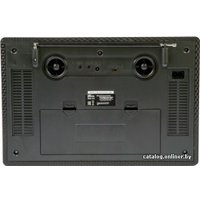 Радиоприемник Ritmix RPR-101 (черный)