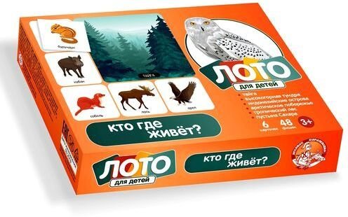 

Развивающая игра Десятое королевство Кто где живет 00078