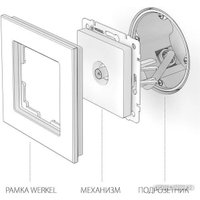 Розетка телевизионная Werkel W1184001 (белый)