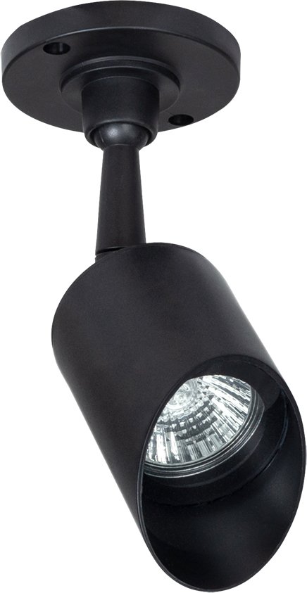 

Уличный подвесной светильник Arte Lamp Elsie A1022AL-1BK
