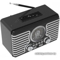 Радиоприемник Ritmix RPR-095 (серебристый)