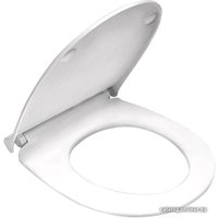 Сиденье для унитаза Berges Wasserhaus Real Slim SO 010303 (с микролифтом)