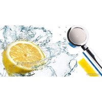 Душевая лейка Aroma Sense AS-9000 (серебристый)