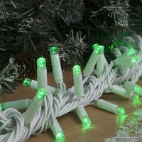 Новогодняя гирлянда Luazon Нить 100 LED 10м (зеленый) 3584100