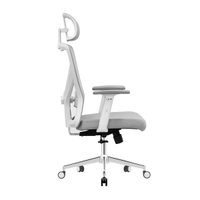 Офисное кресло Evolution ErgoLine 2 (серый)