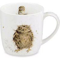 Кружка Royal Worcester Забавная фауна Сова RWC MMKD5629-XT-1