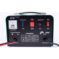 Зарядное устройство Favourite EC 20