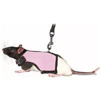 Шлея с поводком Trixie 61511