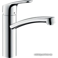 Смеситель Hansgrohe Focus [31804000]