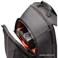 Рюкзак Case Logic DCB-309-BLACK