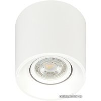 Спот ЭРА OL25-1 Б0054383