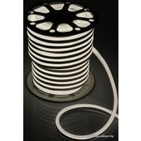 Гибкий неон Luazon Led-120 (50 м, белый) [1431318]