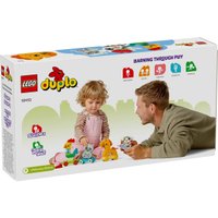 Конструктор LEGO Duplo 10412 Поезд с животными