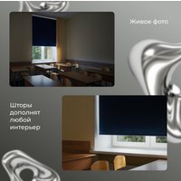 Рулонные шторы Franc Gardiner Blackout Silver 55x160 7207539 (синий)