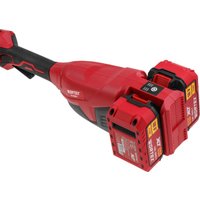 Триммер Wortex TB 3036-1 ALL1 XLT Set 1334872 (с 2-мя АКБ)