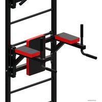 Шведская стенка (лестница) DFC D-123