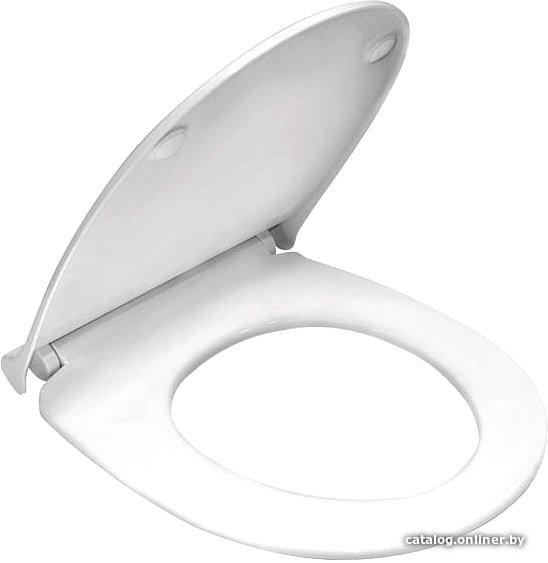 Сиденье для унитаза Berges Wasserhaus Real Slim SO 010303 (с микролифтом)