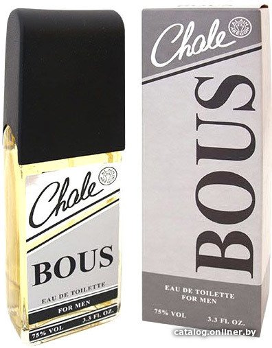 Туалетная вода Positive Chale Bous EdT (100 мл)