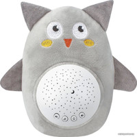 Музыкальная игрушка Amarobaby Starry Night Owl AMARO-104SN-O/11