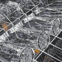 Встраиваемая посудомоечная машина Whirlpool WH8IA115B2M3TUS0 в Борисове