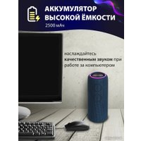 Беспроводная колонка Aiwa PAS-H300 (темно-синий)