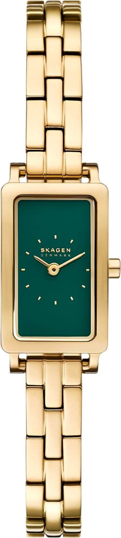 Наручные часы Skagen SKW3146