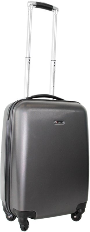 

Чемодан-спиннер Rion+ 434 (темно-серый)