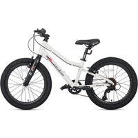 Детский велосипед Maxiscoo 3bike 20 L 2025 MSC-M3-2003 (серый, разобранный)