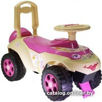 Каталка Doloni-Toys Machine 0142/R/07
