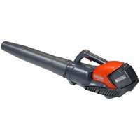 Ручная воздуходувка Oleo-Mac BVI 60 40V 5406-9001 (без АКБ)