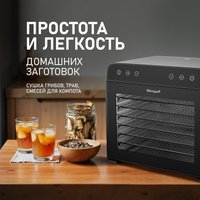 Сушилка для овощей и фруктов Weissgauff WDH 108 Digital Dry