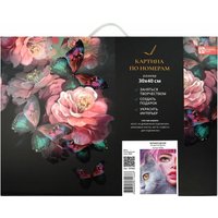 Картина по номерам Феникс+ Зеркало души 67925