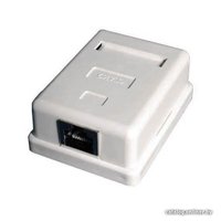 Розетка компьютерная Rexant 03-0122 в Бобруйске